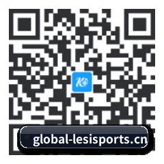 系统版 iOS 二维码